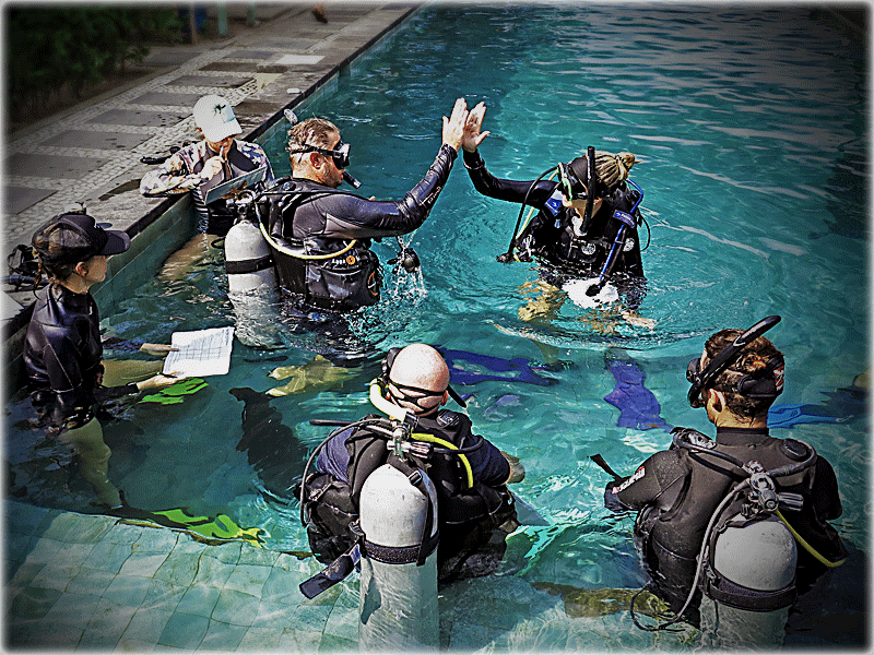 PADI IDC 2017 - PADI Instructor Development Course (IDC) With Platinum ...